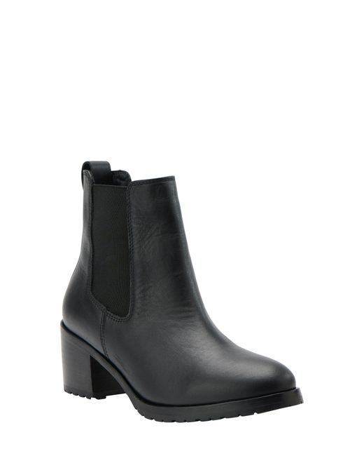 Nisolo Ana Go-To Chelsea Boot in at