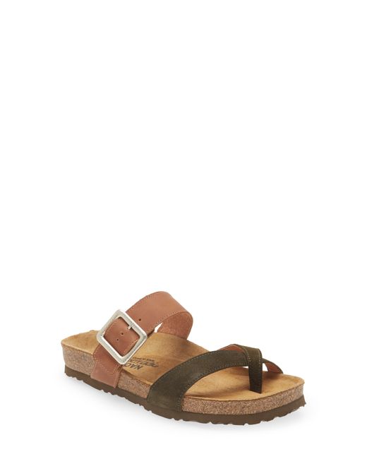Naot Fresno Slide Sandal in Latte Brown/Oily Olive at
