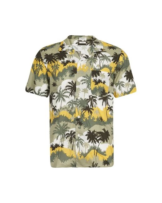 Hartford Palm Trees shirt