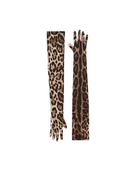 Dolce & Gabbana Long leo-print stretch satin gloves