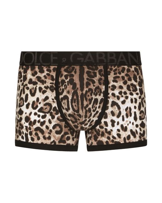 Dolce & Gabbana Leopard-print two-way stretch cotton boxers