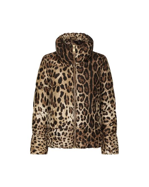 Dolce & Gabbana Padded leopard-print nylon jacket
