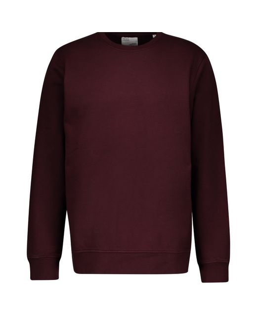 Colorful Standard Organic cotton sweatshirt