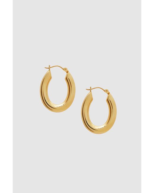 Anine Bing Tubular Oval Hoop Earrings in 14k Gold