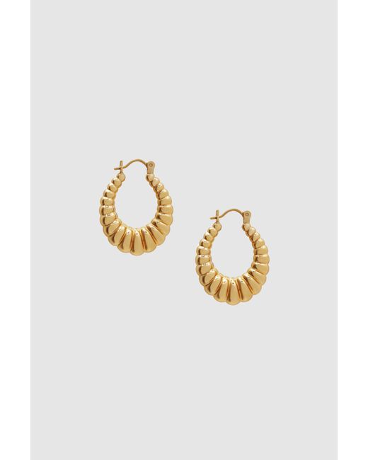 Anine Bing Oval Ribbed Hoop Earrings in 14k Gold