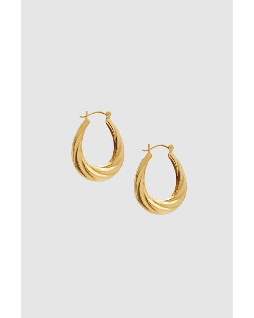 Anine Bing Oval Twist Hoop Earrings in 14k Gold