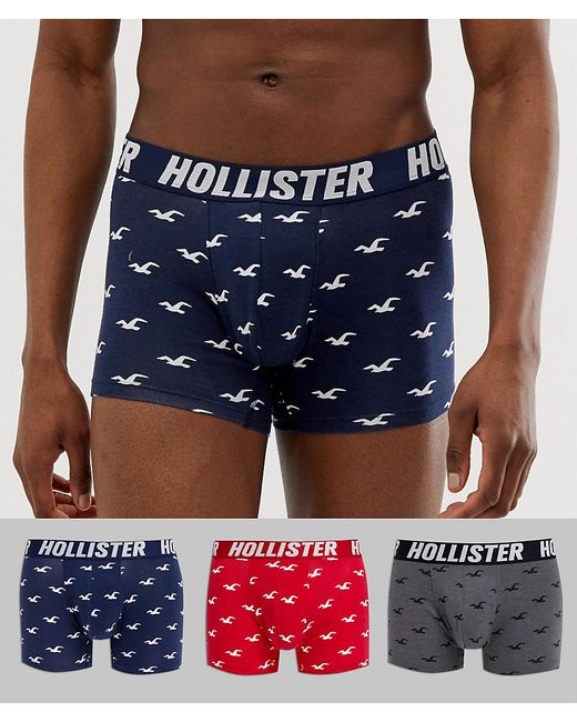 Hollister 3 pack trunks logo waistband all over seagull print