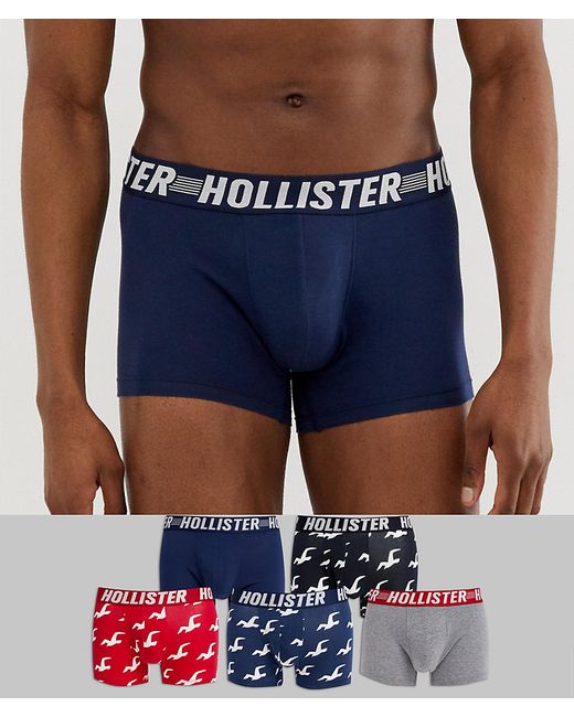 Hollister 5 pack trunks logo waistband in navy/gray solid black/navy/navy