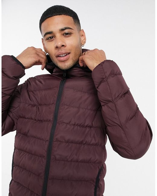 French Connection padded hooded jacket in burgundy-