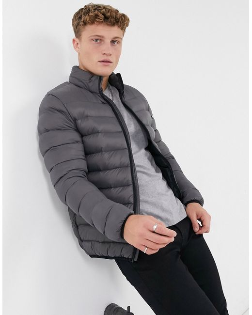 French Connection padded jacket in dark