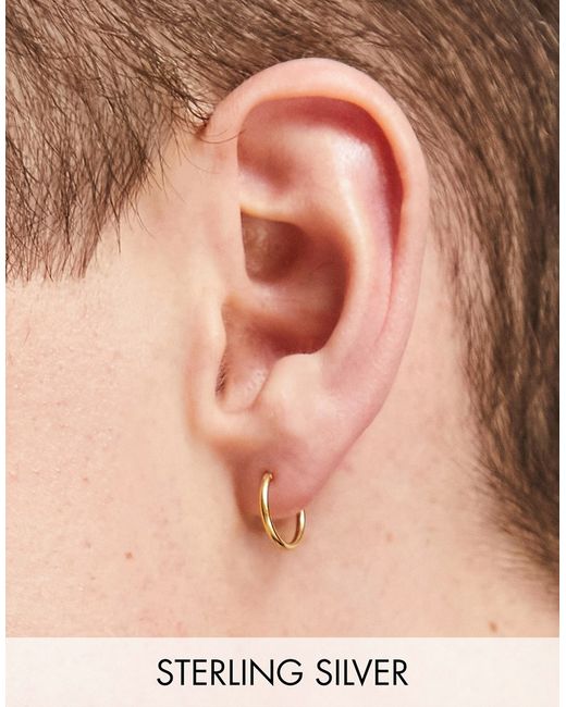 The Status Syndicate Status Syndicate plated hoop earrings