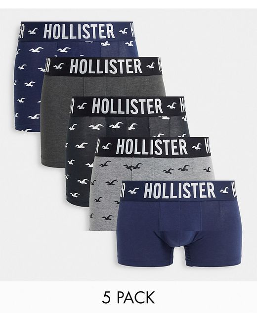 Hollister 5 pack trunks in navy/black/gray with all over logo-