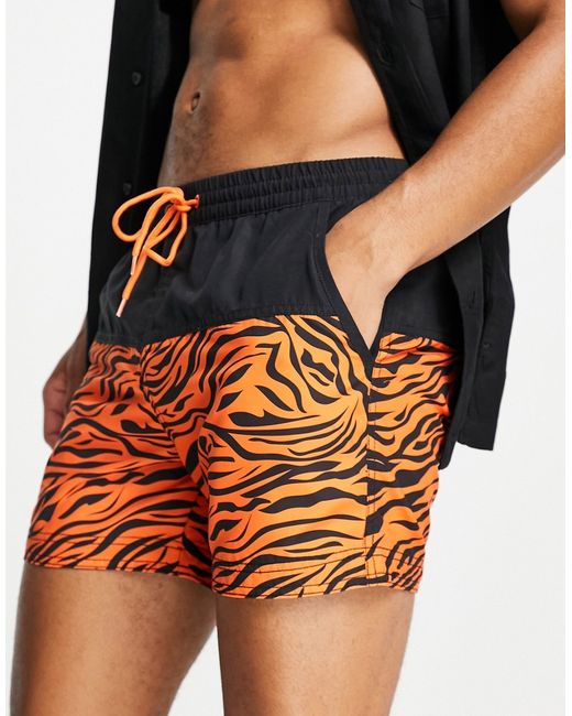 South Beach swim shorts in tiger print-