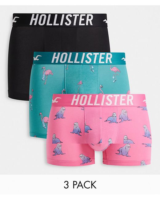 Hollister 3 pack conversational print trunks in pink/blue and black plain-
