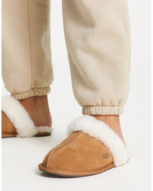Ugg Scuffette II slippers in chestnut-