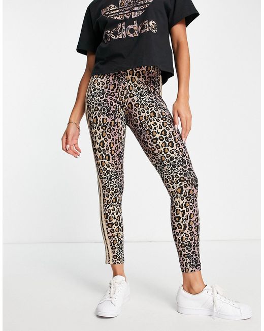 Adidas Originals three stripe leopard print leggings in magic and black-