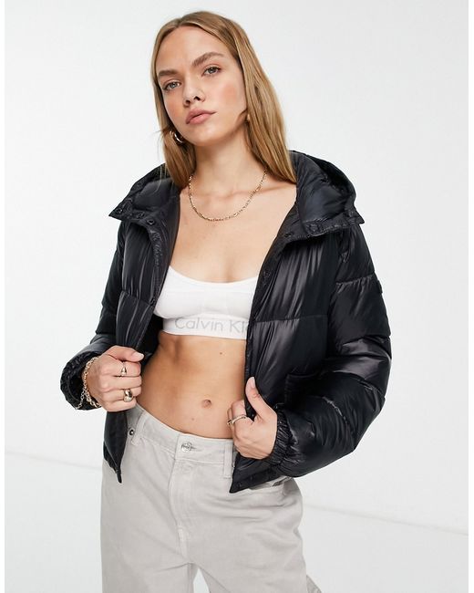 Calvin Klein short boxy padded jacket in