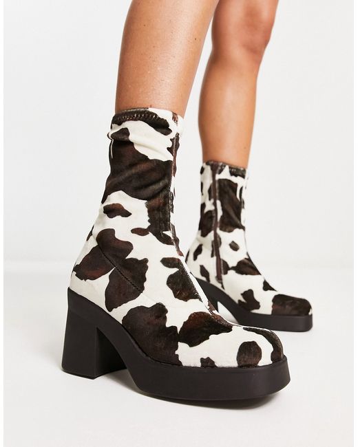 Steve Madden Klayton heeled boots in cow print-
