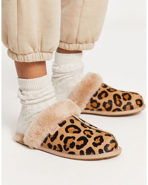 Ugg Scuffette II slippers in leopard print-
