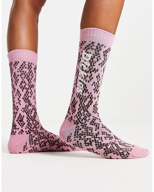 Dickies Camden socks in pinks