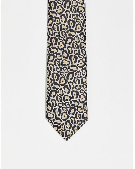 Twisted Tailor tie in black will all over leopard print-