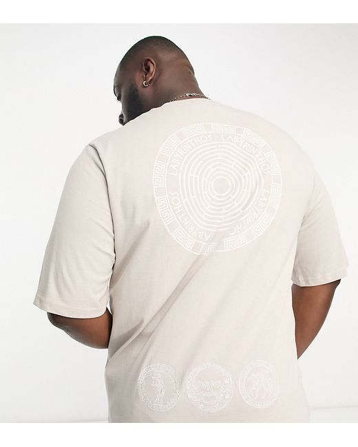 Bolongaro Trevor PLUS oversized T-shirt with back print in stone-