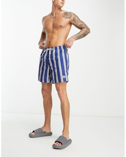 PacSun dusty stripe swim shorts in