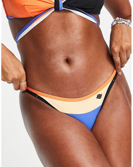 Sunseeker double strap bikini brief in sports blue and orange-