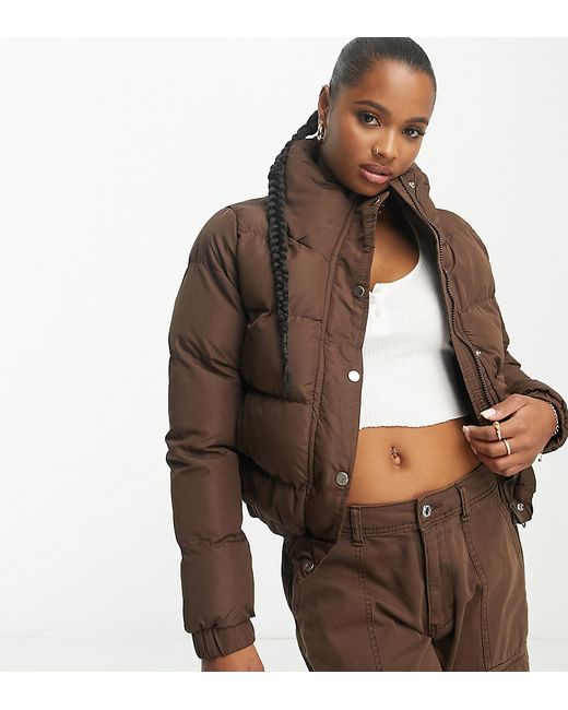 Brave Soul Petite puffer jacket in chocolate