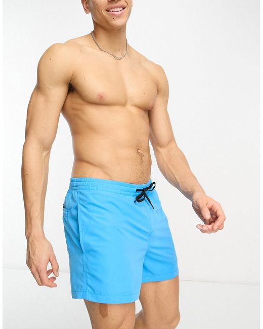Quiksilver everyday volley swim shorts in