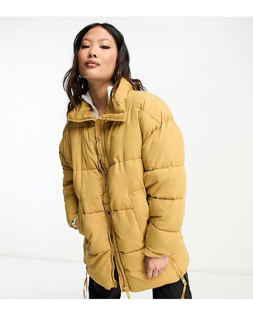 Don't Think Twice Petite DTT Petite Sarah longline puffer jacket in beige-