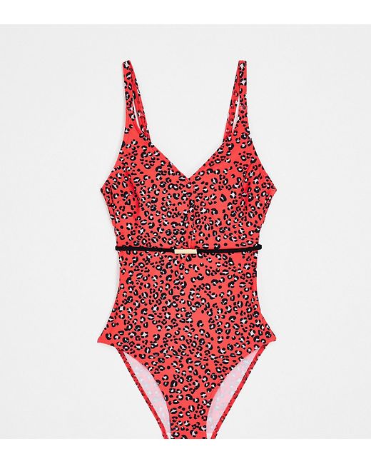 Figleaves Tall swimsuit with belt detail in leopard
