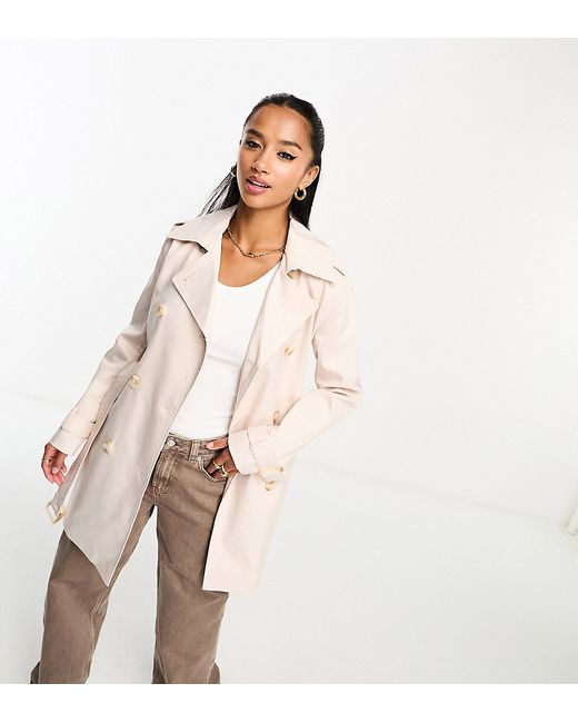 Ever New Petite belted trench coat stone-