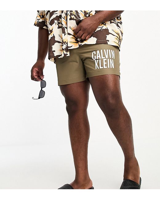 Calvin Klein Big Tall intense power swim shorts nettle-