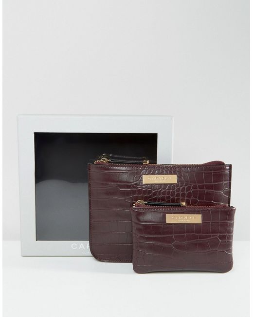 Carvela Mock Croc Pouch And Zip Coin Purse In Gift Box