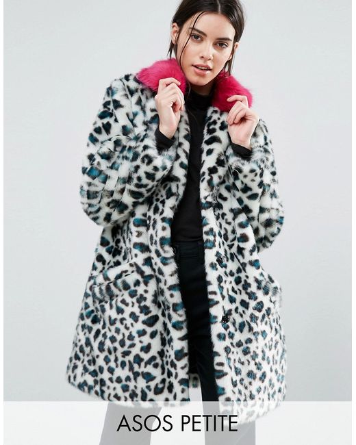 ASOS Petite Faux Fur Coat in Leopard Print with Bright Collar