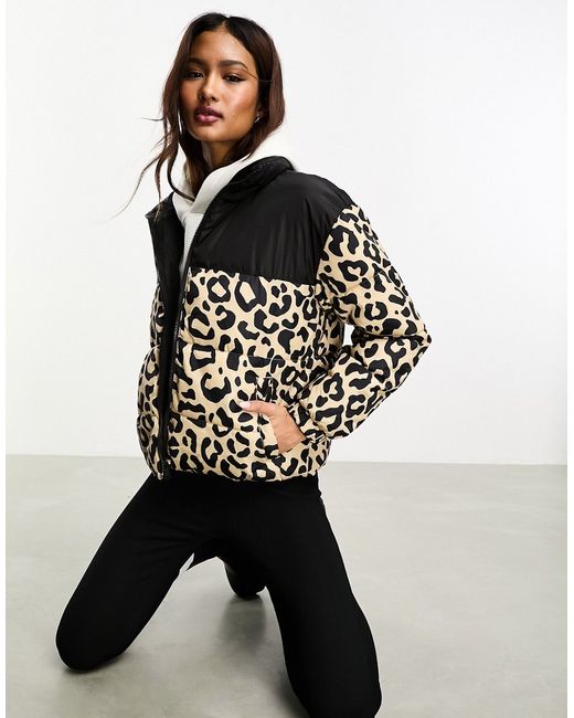 Only colour block padded jacket leopard black-