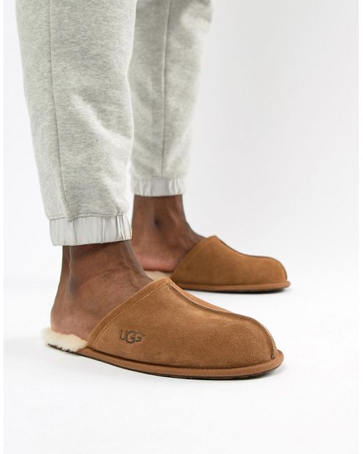 Ugg Scuff slippers in chestnut suede