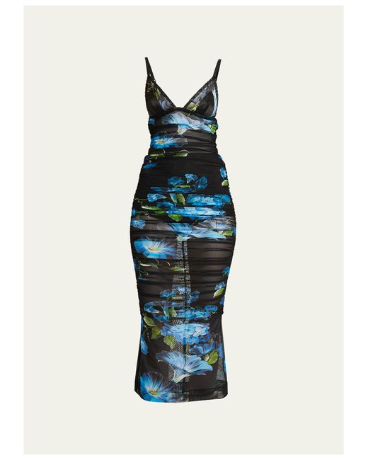 Dolce & Gabbana Bluebell Print Tulle Midi Dress