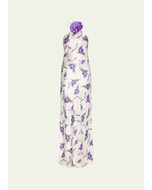 Rodarte Iris Printed Silk Halter Gown