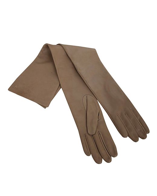 Max Mara Amica Long Gloves