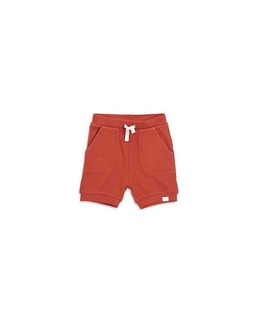 FIRSTS by petit lem Boys Knit Shorts Baby