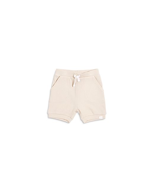 FIRSTS by petit lem Boys Ribbed Tie Shorts Baby