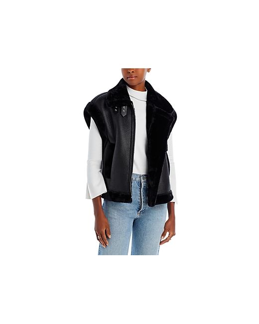 Blank NYC Faux Leather Sherpa Trimmed Vest