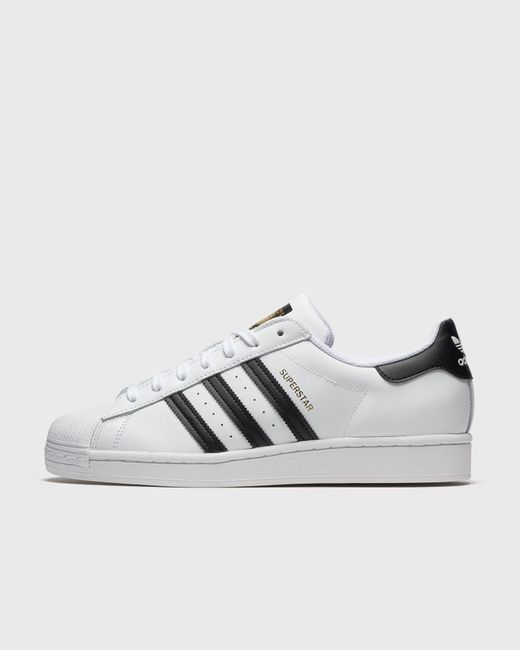 Adidas SUPERSTAR male Lowtop now available 46 2/3