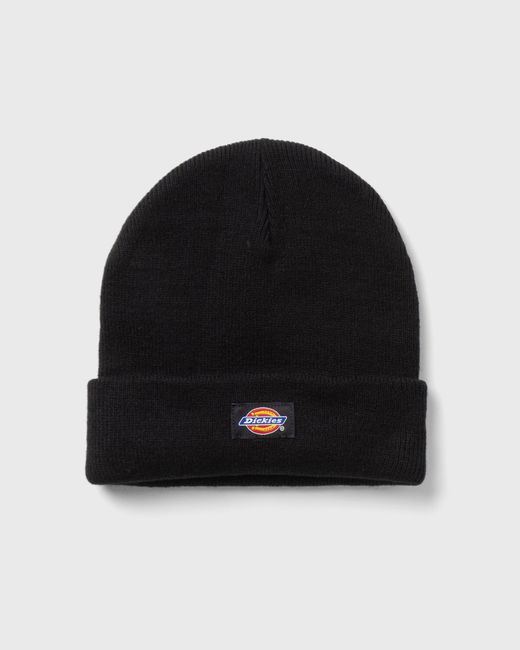 Dickies GIBSLAND BEANIE male Beanies now available