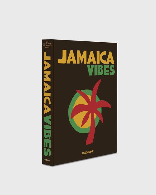 Assouline Jamaica Vibes by Novia McDonald Whyte male Travel now available