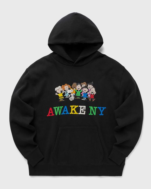 A.W.A.K.E. Mode NY X PEANUTS PRINTED HOODIE male Hoodies now available