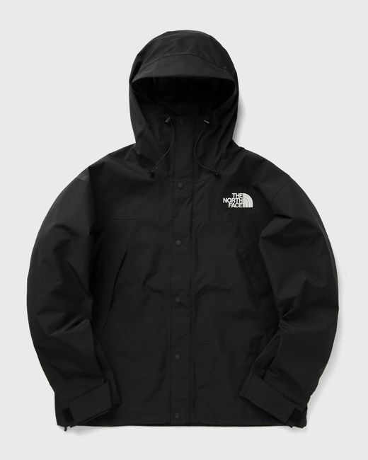The North Face GTX MOUNTAIN JACKET male Windbreaker now available