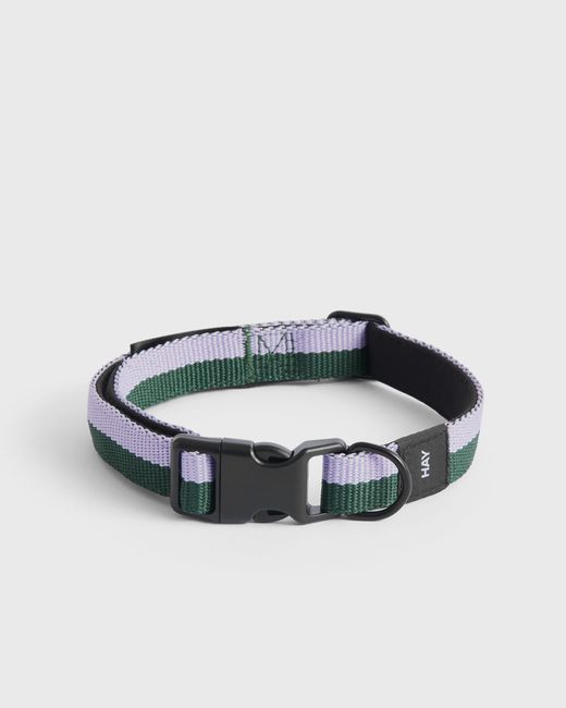 Hay Dogs Collar Flat male Cool Stuff now available